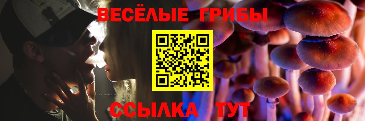 Псилоцибиновые грибы прущие грибы Кунгур